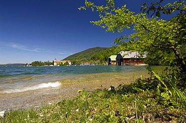 Lakeshore at Lake Tegernsee, Upper Bavaria, Bavaria, Germany