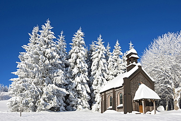 Snow covered trees and chapel, Schauinsland, near Freiburg im Breisgau, Black Forest, Baden-Wuerttemberg, Germany