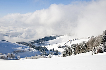 Panoramic view, Schauinsland, near Freiburg im Breisgau, Black Forest, Baden-Wuerttemberg, Germany