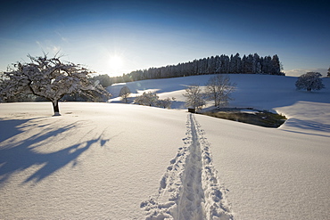 Sunset near St Maergen, Black Forest, Baden-Wuerttemberg, Germany