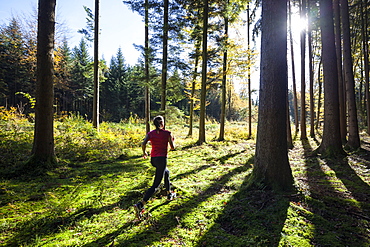 Young woman jogging through wood in autumn, Bavaria, Germany