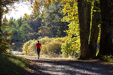 Young woman jogging through wood in autumn, Bavaria, Germany