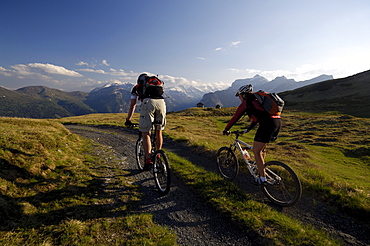 Couple on a mountain bike tour near Blaser, near Steinach am Brenner, Wipptal, Tyrol, Austria