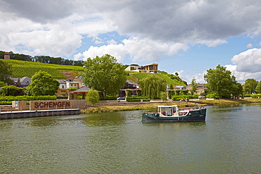 Wine growing estate, Domaine Henri Ruppert, Schengen, Houseboat, River Mosel, Luxembourg, Europe