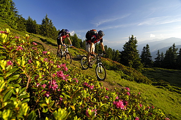 Two people on a mountain bike tour at Grenzkamm, Wipptal, Brenner, Tyrol, Austria