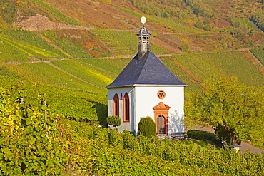 Chapel Grabkapelle Kesselstatt at Kroev, Mosel, Rhineland-Palatinate, Germany, Europe