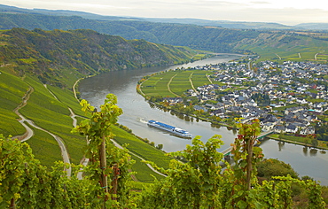 View towards the valley of the river Mosel and Niederemmel, Rhineland-Palatinate, Germany, Europe