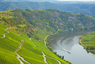 View towards the Moselloreley and the valley of the river Mosel near Piesport, Rhineland-Palatinate, Germany, Europe