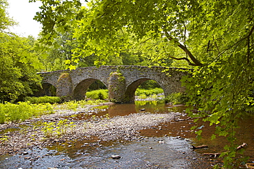 View of the old stone bridge across the river Grosse Nister, Nistertal, Abtei Marienstatt, Westerwald, Rhineland-Palatinate, Germany, Europe