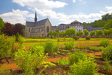 View across the herbal garden at Abtei Marienstatt (13th century), Nistertal, Streithausen, Westerwald, Rhineland-Palatinate, Germany, Europe