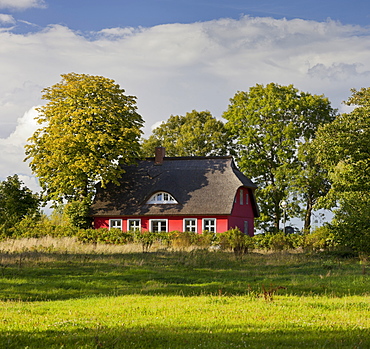 House with thatched roof, Putgarden, Kap Arkona, Ruegen, Mecklenburg-Western Pomerania, Germany