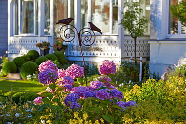 Garden of a villa along the beach promenade, Seaside resort of Binz, Island of Ruegen, Mecklenburg Western Pommerania, Germany