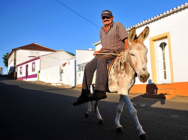 Farmer  on a donkey in Cabo da Praia near Praia da Vitoria, Island of Terceira, Azores, Portugal