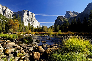 Idyllic landscape with stream in the sunlight, Yosemite National Park, California, North America, America