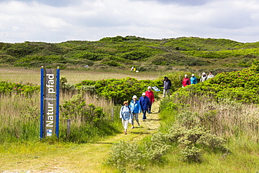 Flinthoern nature trail, Dunes, Langeoog Island, North Sea, National Park, Unesco World Heritage Site, East Frisian Islands, East Frisia, Lower Saxony, Germany, Europe