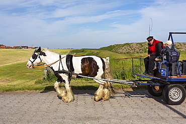 Horse and cart luggage service, Juist Island, Nationalpark, North Sea, East Frisian Islands, East Frisia, Lower Saxony, Germany, Europe