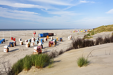 Beach chairs on the beach, Juist Island, North Sea, East Frisian Islands, East Frisia, Lower Saxony, Germany, Europe