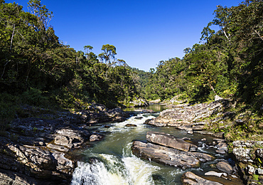 Rainforest and Namorona River, Ranomafana National Park, Madagascar, Africa