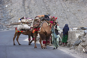 Kuchi nomads and their camels at Tangi Abreshom (Silk Gorge), Kabul Province, Afghanistan