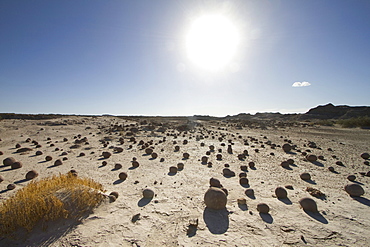 Sand spheres at the Cancha de Bochas, Valle de la Luna (Moon Valley), Ischigualasto Natural Park, San Juan, Argentina