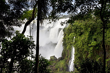 Iguazu Falls National Park, Misiones, Argentina