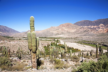 Pre-Columbian fortification of PucarâˆšÂ° de Tilcara, Jujuy, Argentina