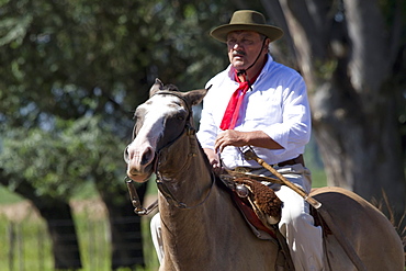 Gaucho riding a horse, Estancia Santa Susana, Los Cardales, Provincia de Buenos Aires, Argentina