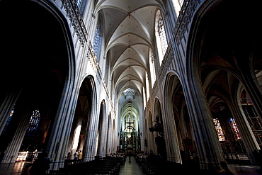 Central nave of the Onze Lieve Vrouwekathedraal (Cathedral of our Lady), Antwerp, Belgium