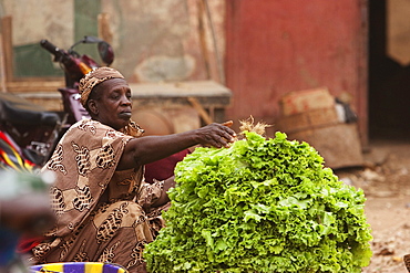 Vegetable vendor at the market, Segou, Mali