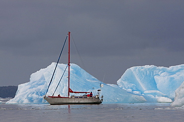 Sail boat in Laguna San Rafael, Laguna San Rafael National Park, AisâˆšÂ©n Region, Chile