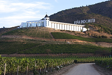 ViâˆšÂ±a Indomita winery, Casablanca, Valparaiso Region, Chile