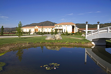 Pond in the Garden of Estancia El Cuadro, Casablanca Valley, Valparaiso Region, Chile