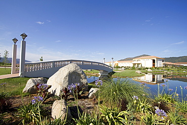 Pond in the Garden of Estancia El Cuadro, Casablanca Valley, Valparaiso Region, Chile