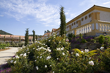 Garden of Estancia El Cuadro, Casablanca Valley, Valparaiso Region, Chile