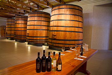 El Cuadro wine bottles in the Wine Cellar of Estancia El Cuadro, Casablanca Valley, Valparaiso Region, Chile