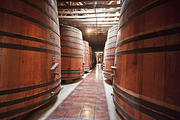 Barrels in the historic cellar of ViâˆšÂ±a CousiâˆšÂ±o Macul winery, Santiago, Regiâˆšâ‰¥n Metropolitana, Chile