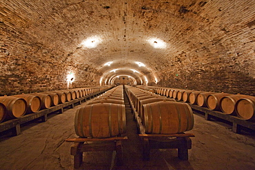 French oak barrels in the historic cellar of ViâˆšÂ±a CousiâˆšÂ±o Macul winery, Santiago, Regiâˆšâ‰¥n Metropolitana, Chile