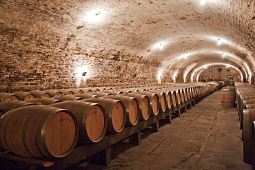 French oak barrels in the historic cellar of ViâˆšÂ±a CousiâˆšÂ±o Macul winery, Santiago, Regiâˆšâ‰¥n Metropolitana, Chile