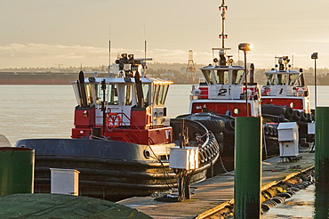 Charles H. Cates tugboats in Burrard Inlet at sunset, North Vancouver, British Columbia, Canada