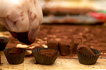 Arranging Freshly Made Chocolates into Baking Cups, Montreal, Quebec