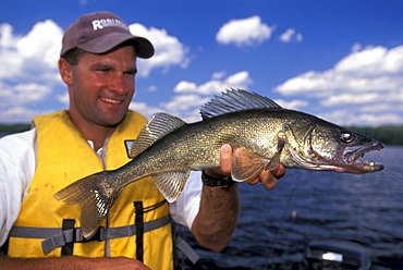 Man with Walleye, Northern Ontario Lake