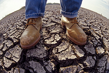 Farmer Standing on Dry Farmland, Red River Valley, Manitoba