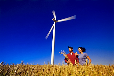 Farmers in Wheat Field, St. Leon, Manitoba