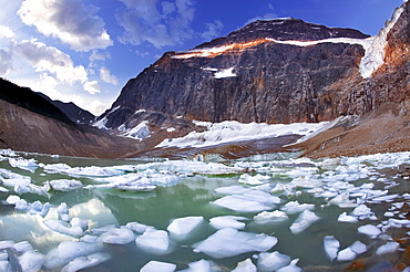 Mt. Edith Cavell and Angel Glacier, Jasper National Park, Alberta.