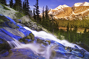 Mount Athabasca from the Icefields Campground, Jasper National Park, Alberta.