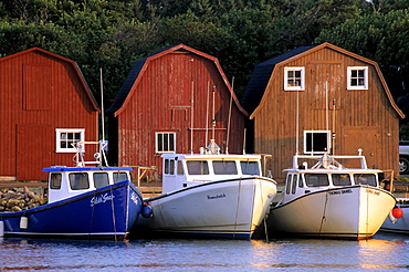 Malpeque Harbour, Prince County, Prince Edward Island.