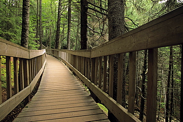 Boardwalk in Fundy national Park, New Brunswick