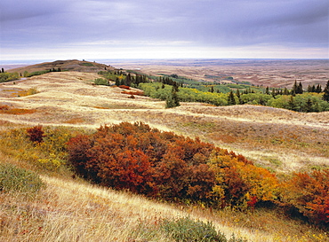 Overlook in Cypress Hills Interprovincial Park, Alberta Canada.