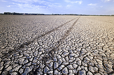 Farmland affected by Drought