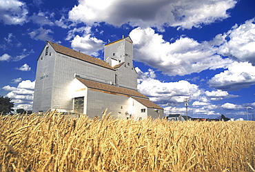 Grain Elevator, Lowe Farm, Manitoba